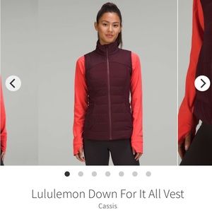 🍋Down for it All Vest🍋